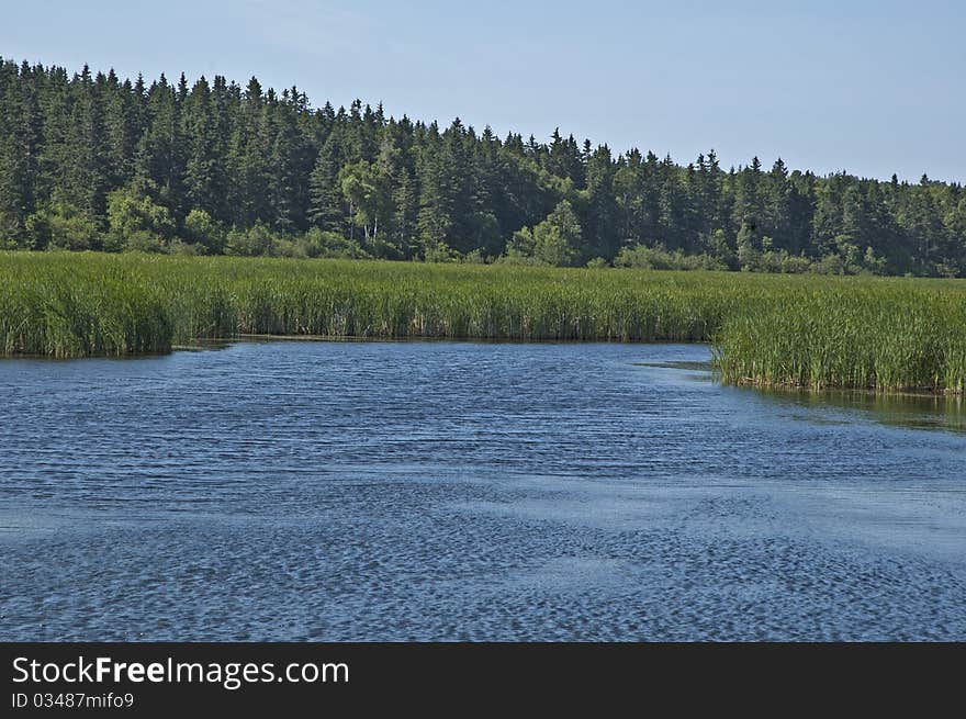 River and Marsh