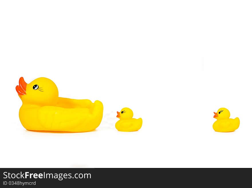 Three Toy Ducks