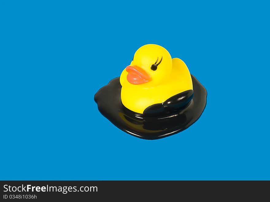 Toy Duck In Oil