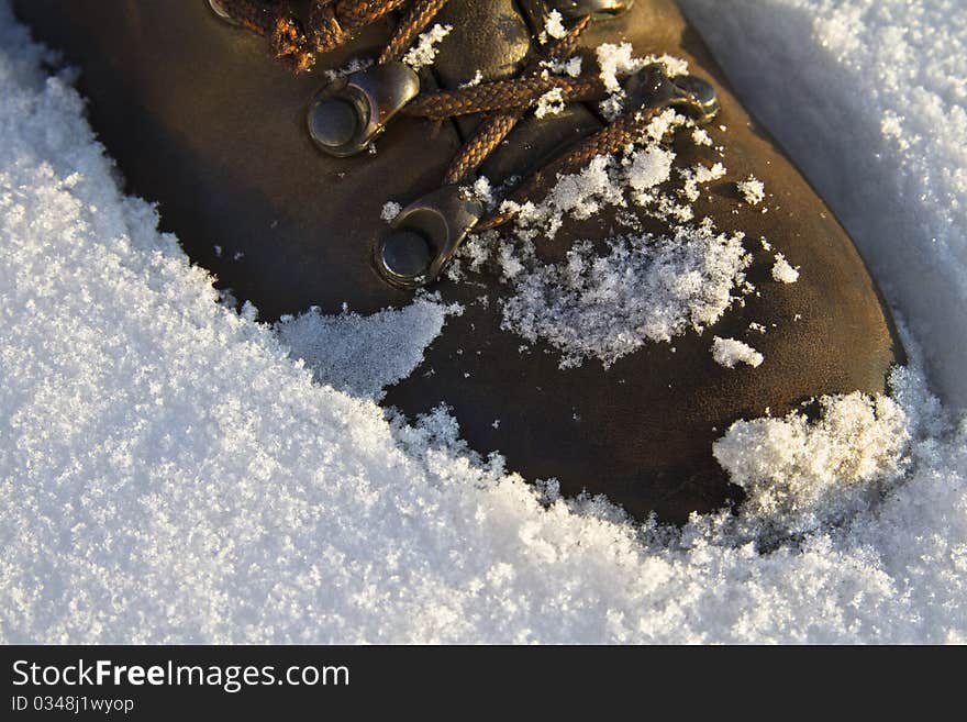 Trecking Shoe Set Into Fresh Snow