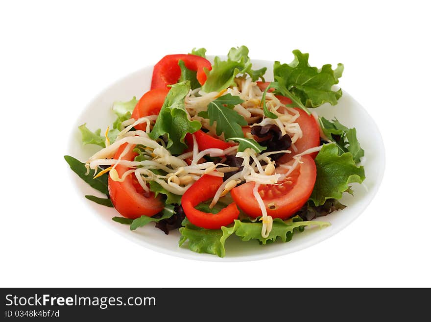 Salad with bean sprout on an white plate