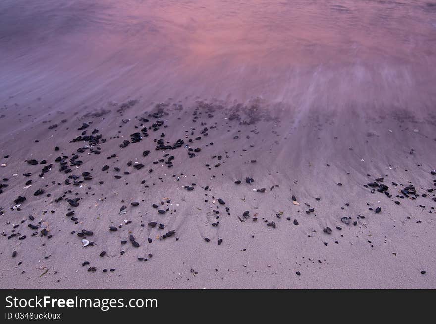 Mussels on sandy shore at dawn