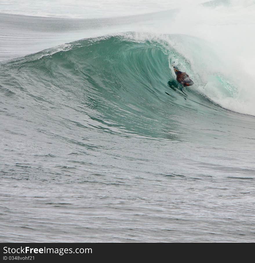 Wave crashing on island of Maui hawaii