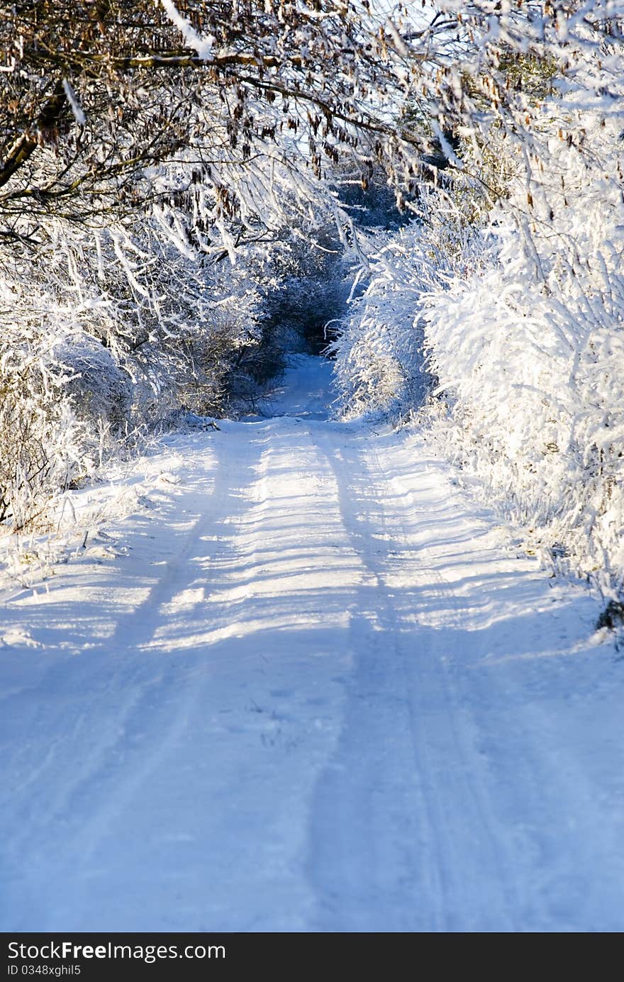 Winter Walkway