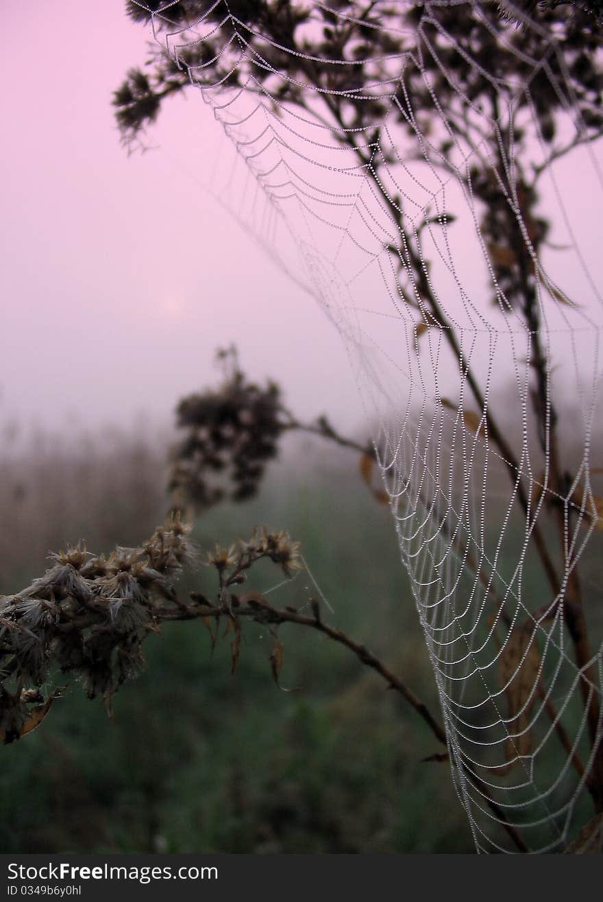 Sunrise and fogg