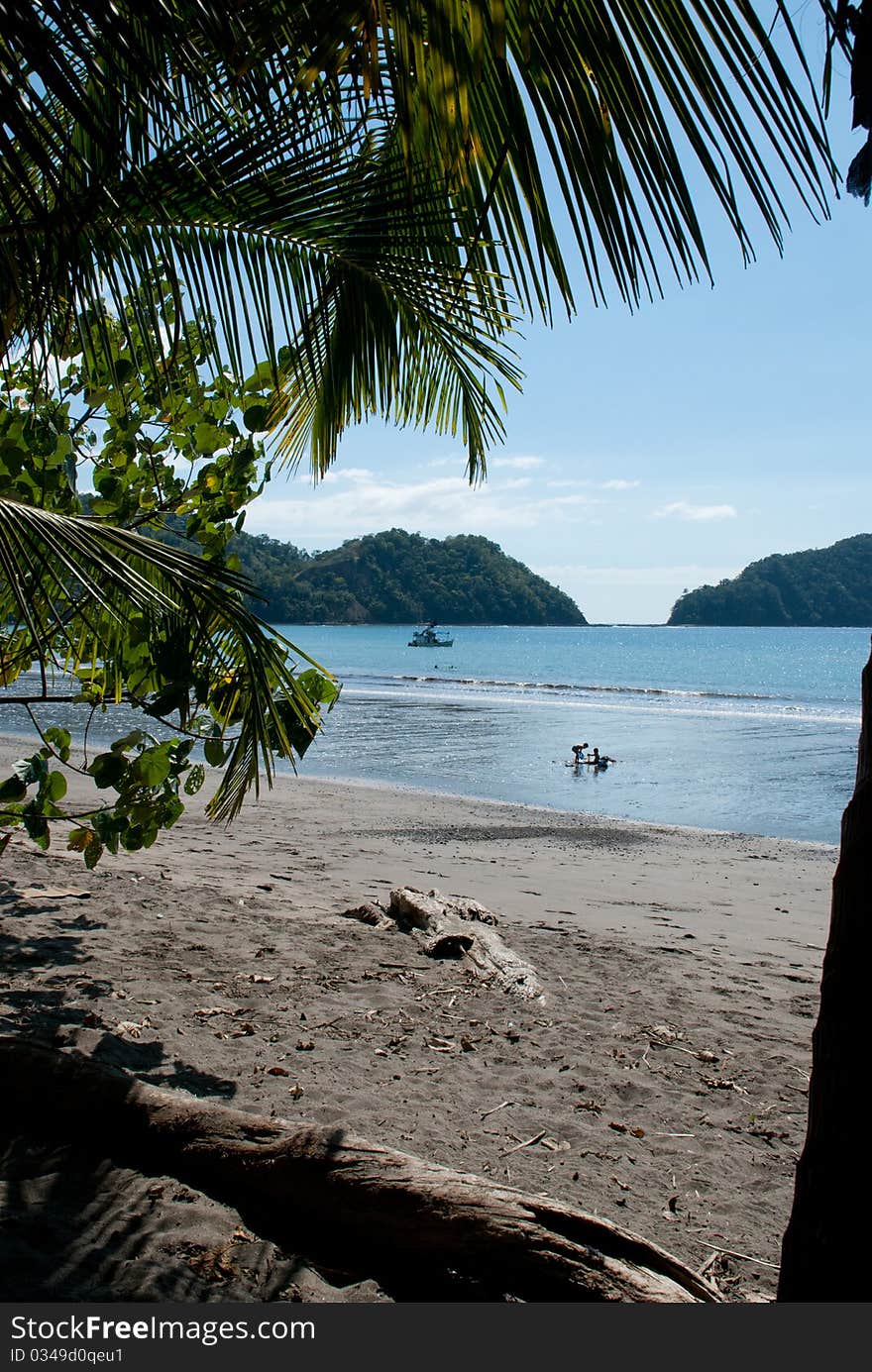 View of beach through the palms. View of beach through the palms