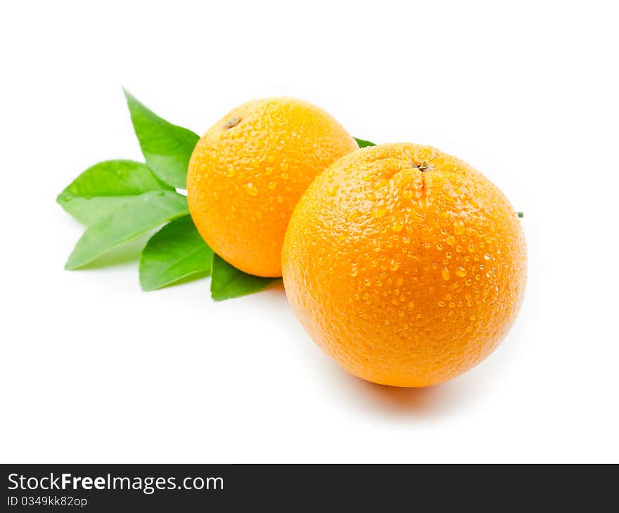 Oranges with leaves on white background