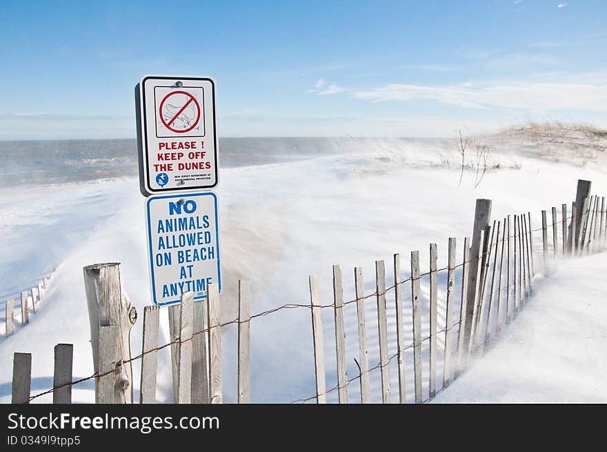 Snowy Beach