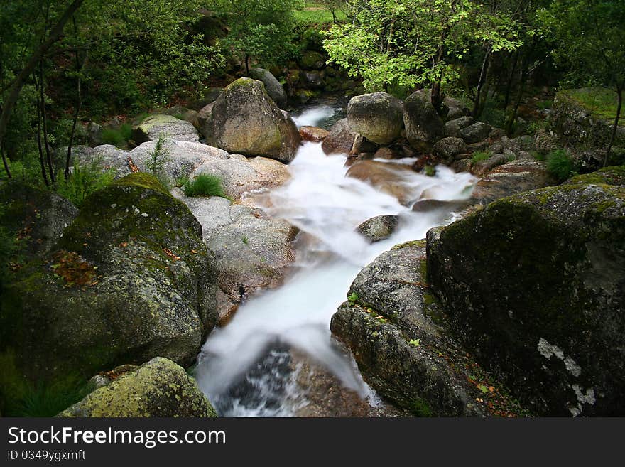 Natural green landscape, river passing by