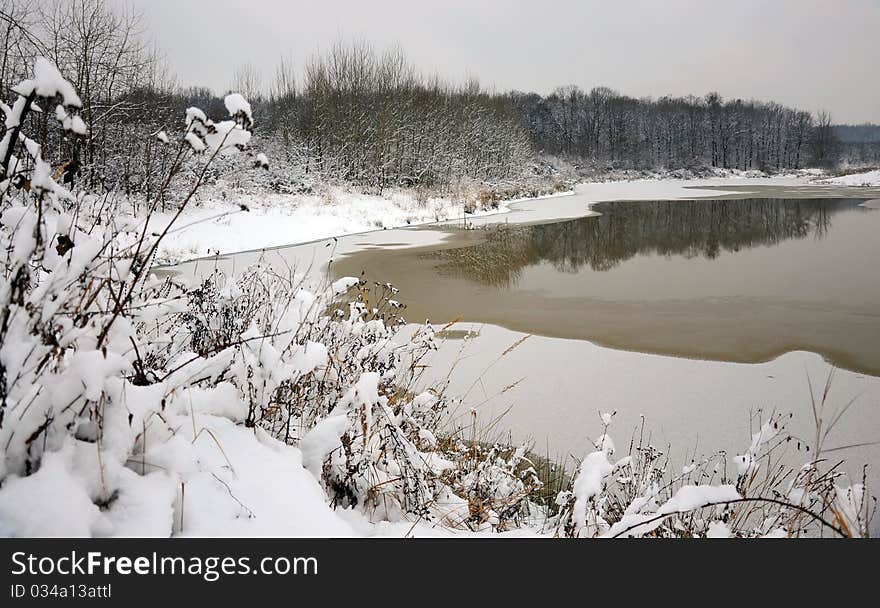 Partially frozen lake near forest