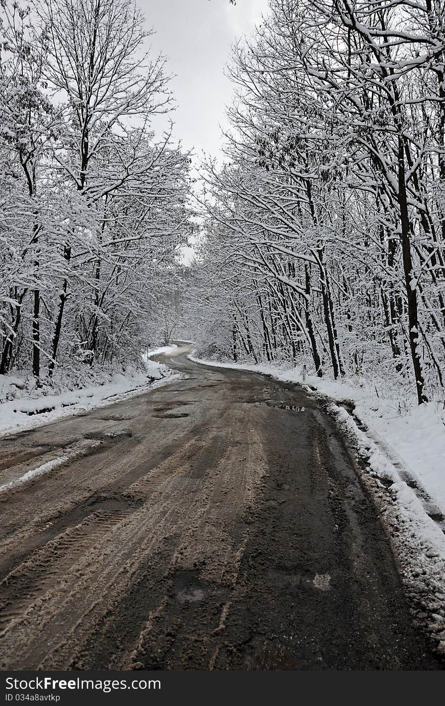 Winter road through frozen forest under cloudy sky