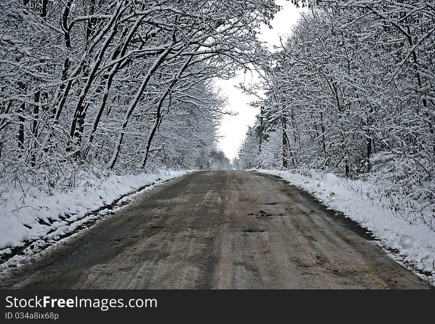 Snowy tunnel road from forest to cloudy sky