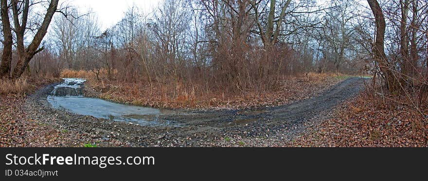 180 degree curved path in forest in cold autumn day