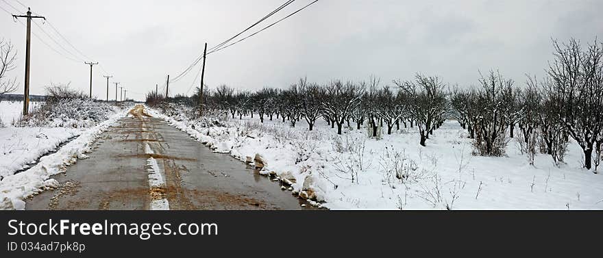 Winter landscape with road near snowy orchard