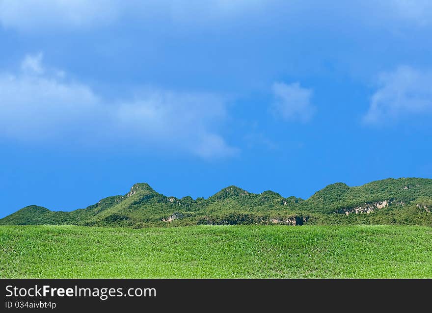 Blue and green landscape