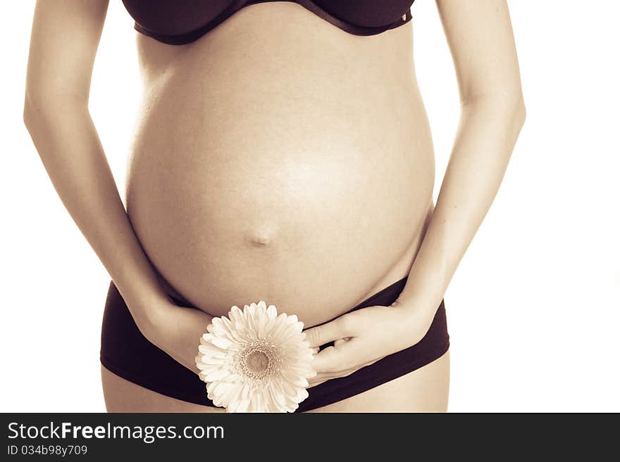 Pregnant tummy on an isolated white background. Pregnant tummy on an isolated white background