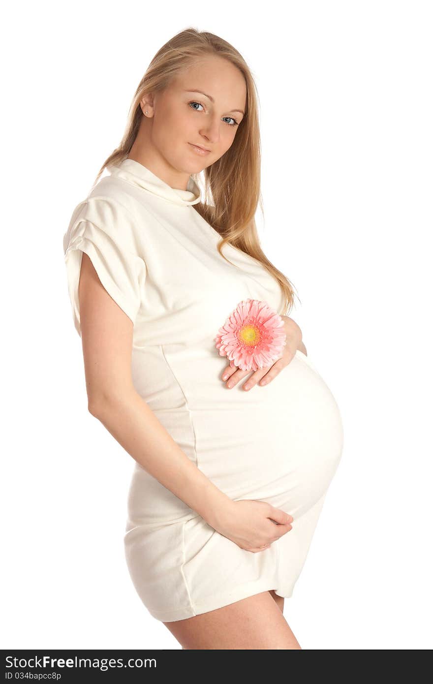 Pregnant woman holding her belly and flower. Pregnant woman holding her belly and flower