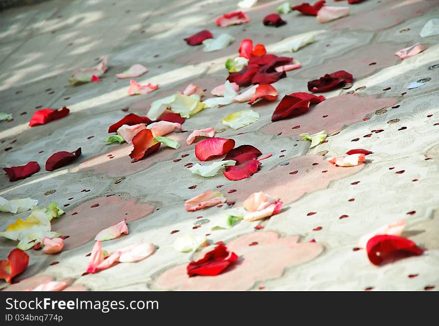 Petals of red roses scattered on a floor