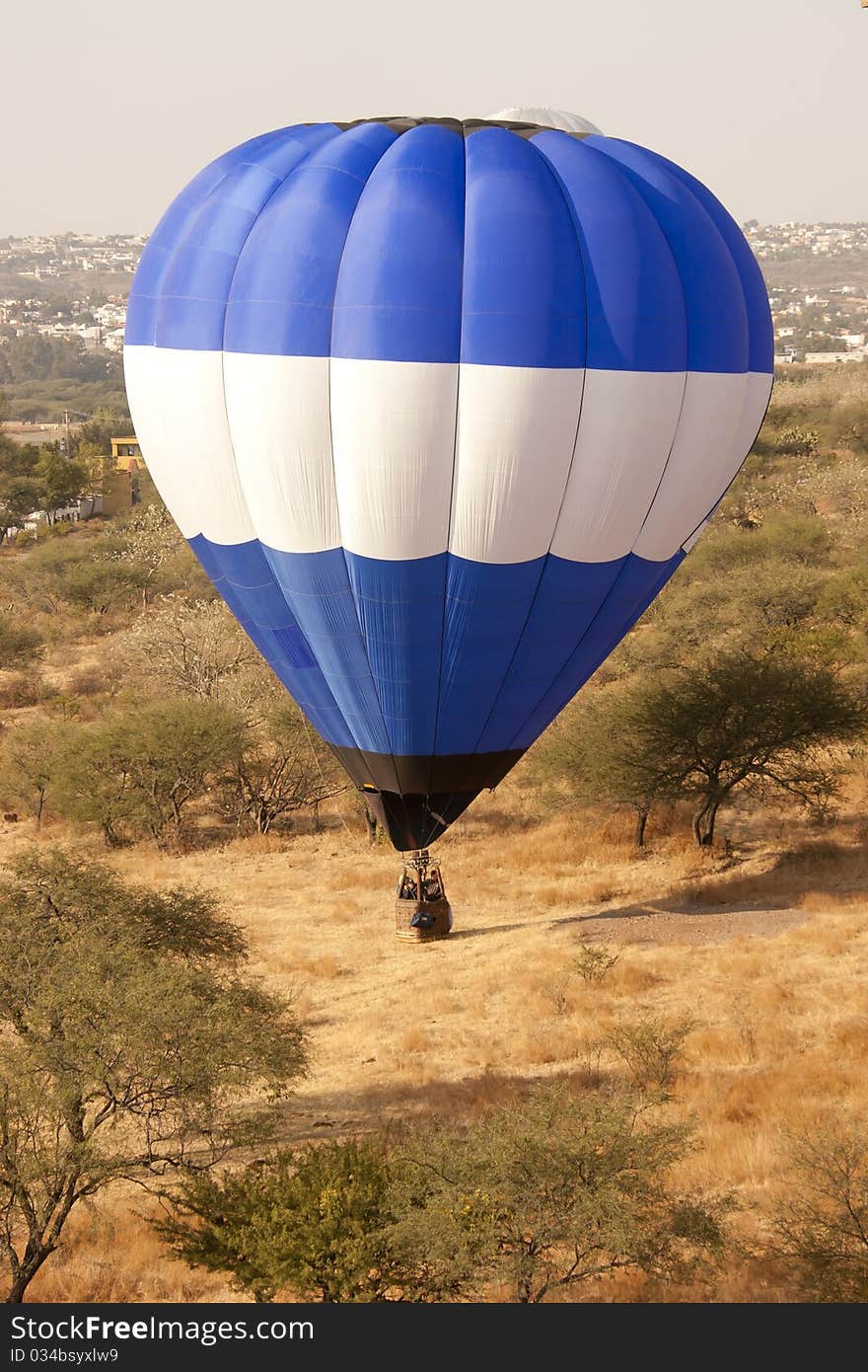 Blue and white hot air balloon on the ground in between small trees. Blue and white hot air balloon on the ground in between small trees