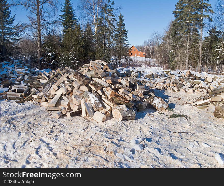 Woodland scene with pile of firewood in winter. Woodland scene with pile of firewood in winter