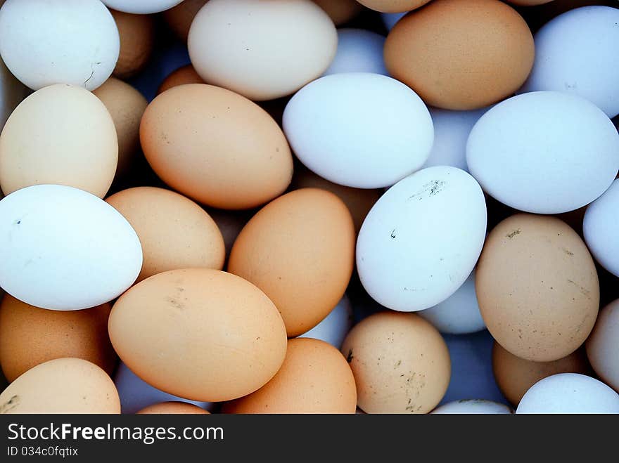 Eggs