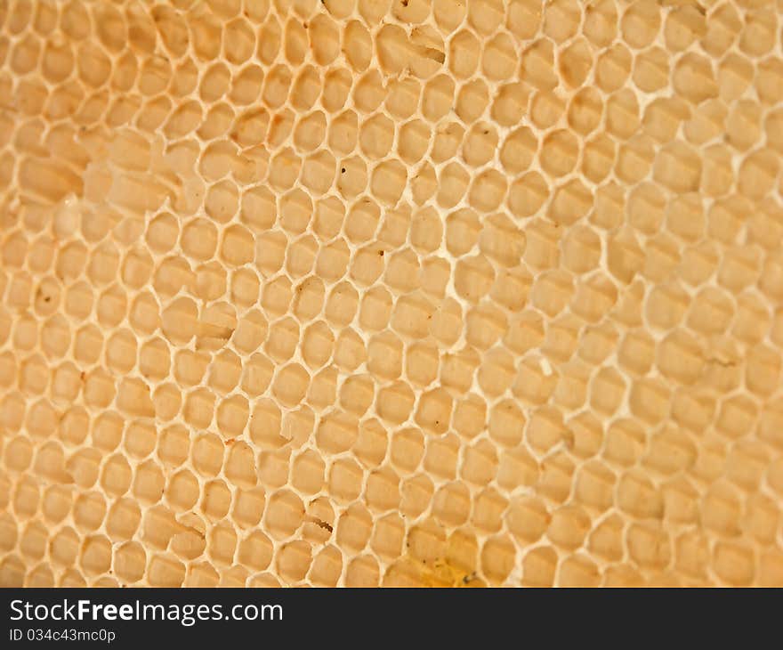 Honeycomb close-up