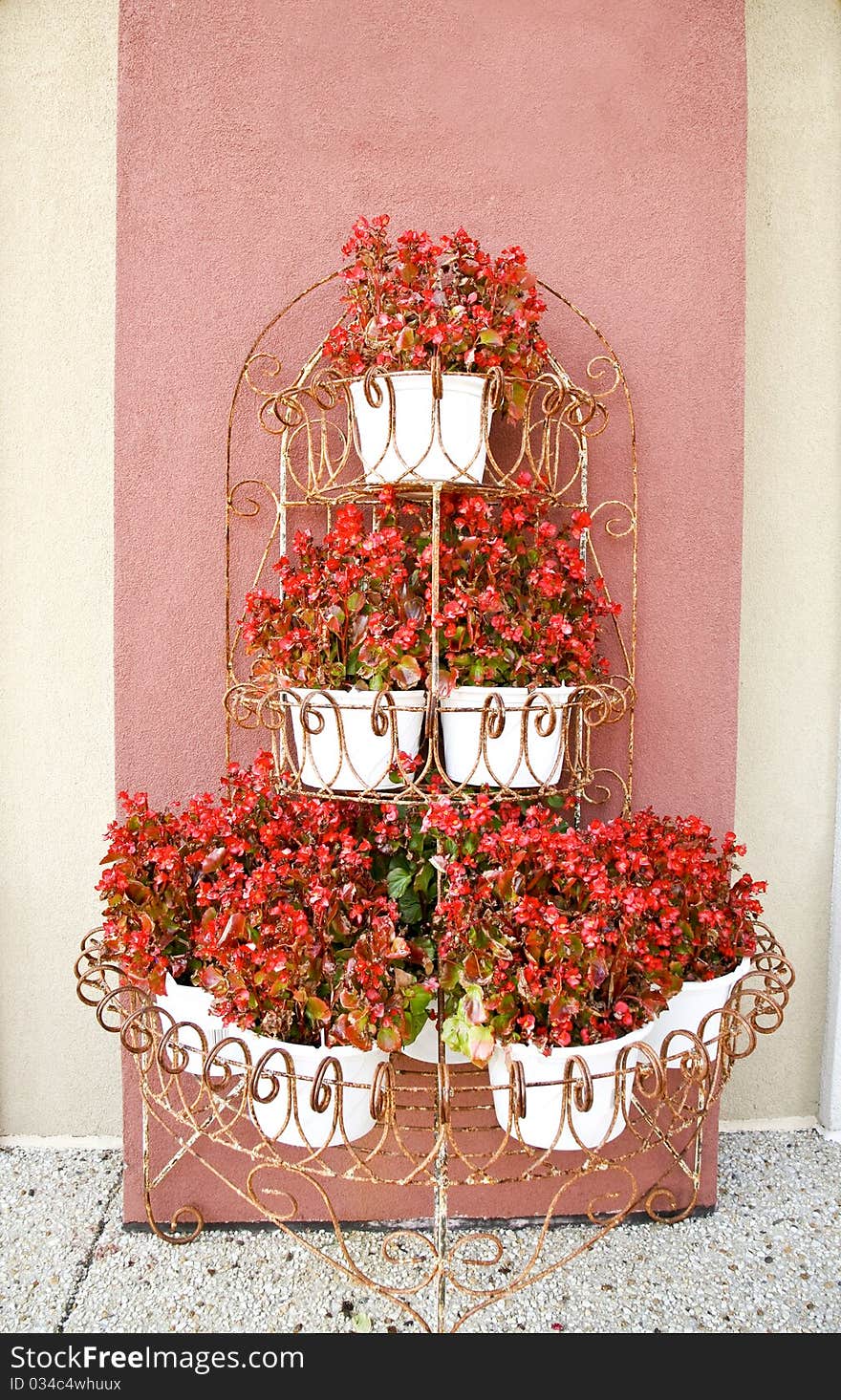 Red Begonias in an antique plant stand. Red Begonias in an antique plant stand