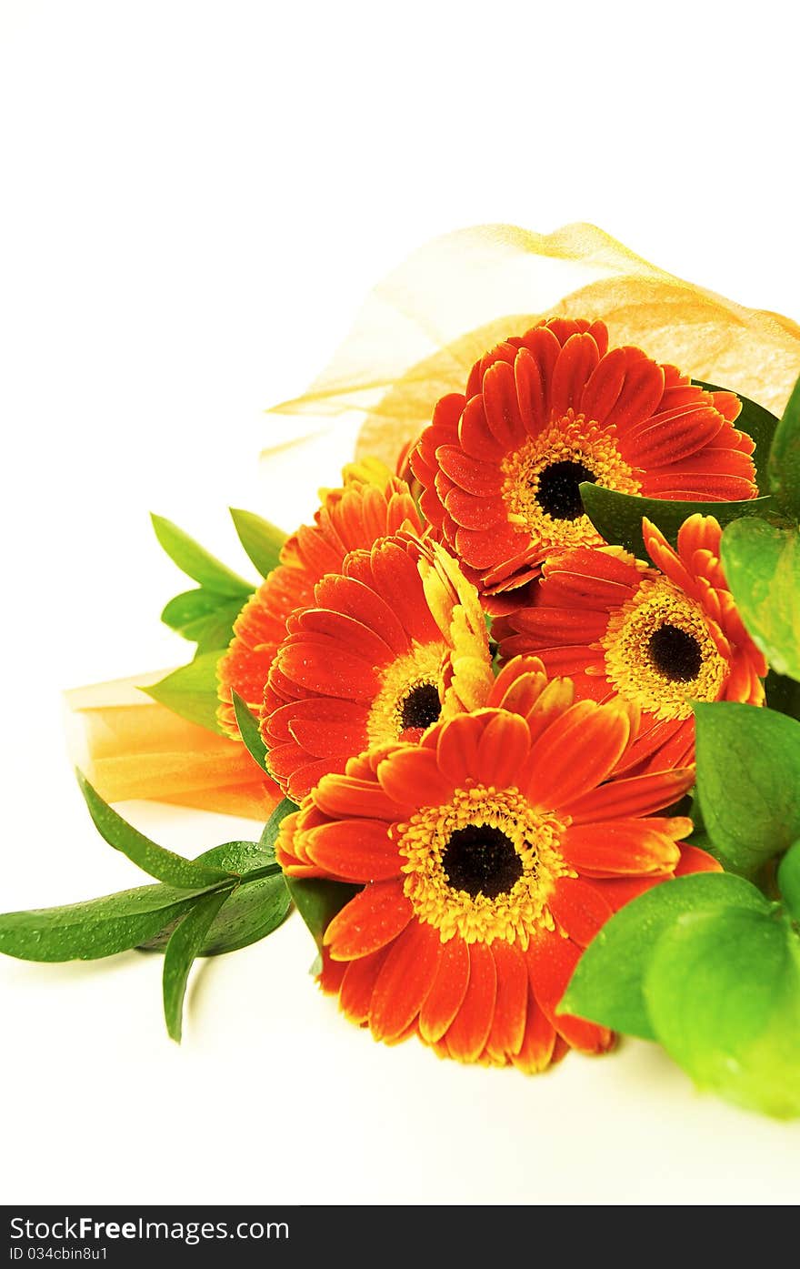 Gerbera  bouquet