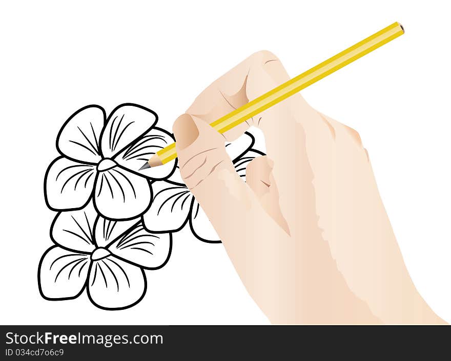 Drawing flowers