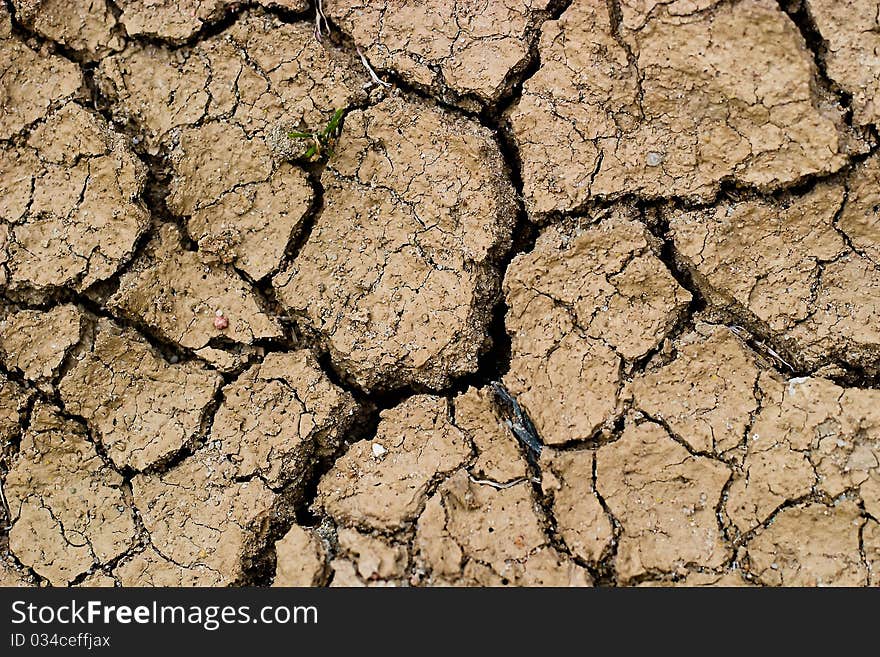 Dry cracked ground filling the frame as background