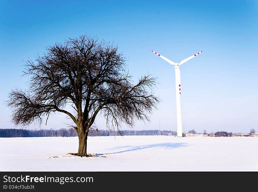 Old big tree on color background with blue sky