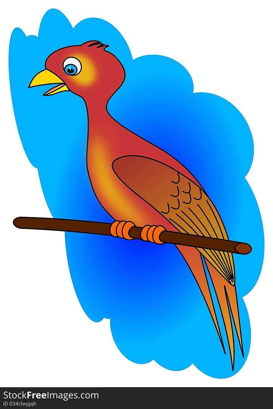 Bird parrot animal nature wildlife illustration color