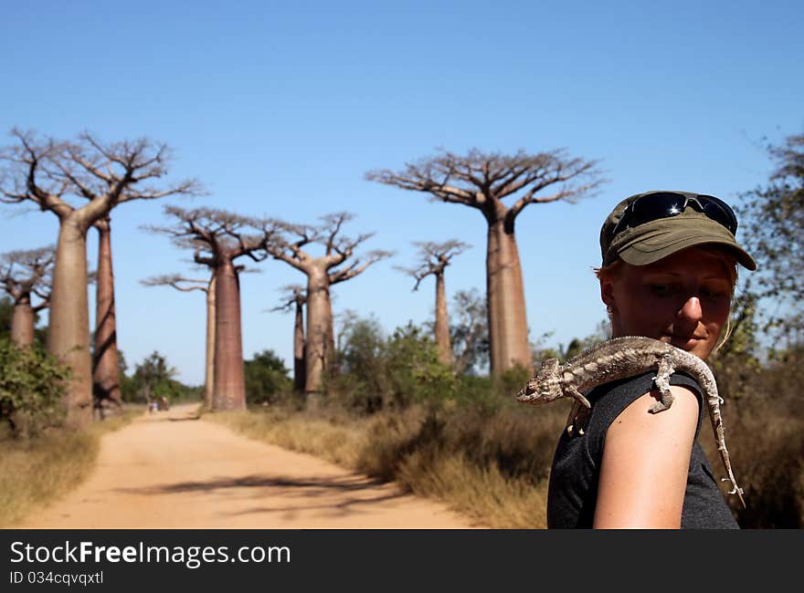 Girl and chameleon in the Avenida de Baobab in Madagascar