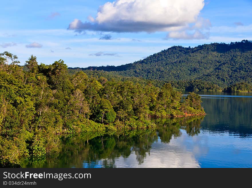 A river flowing through a tropical rainforest. A river flowing through a tropical rainforest