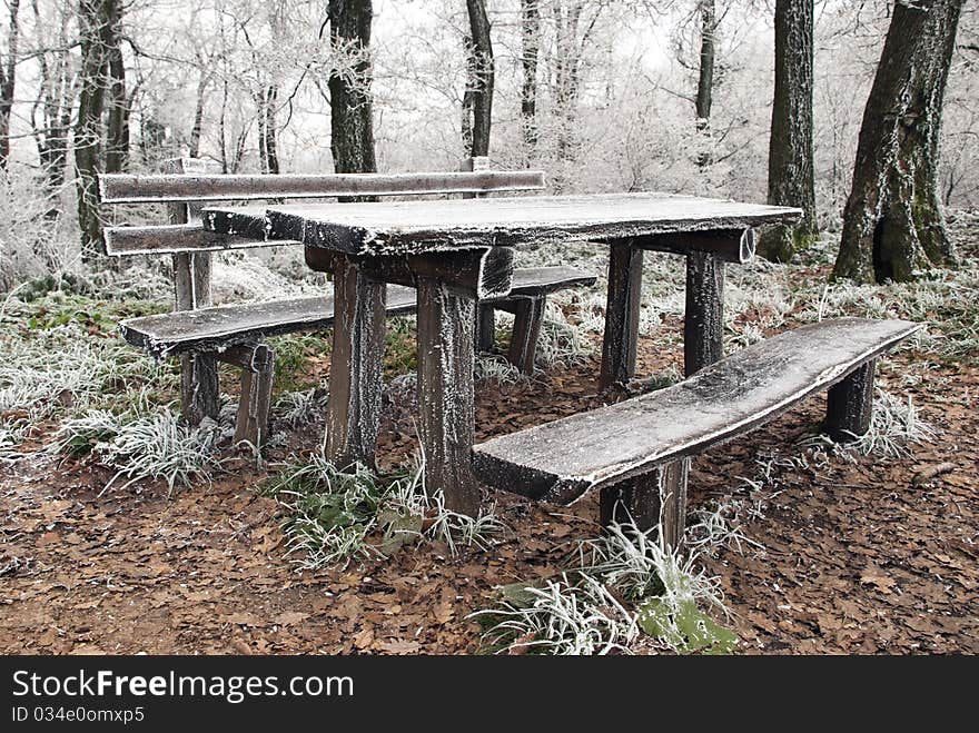 Frozen picnic table in forest