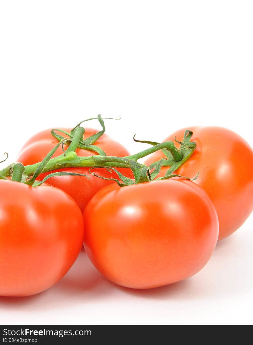 Isolated fresh tomatoes