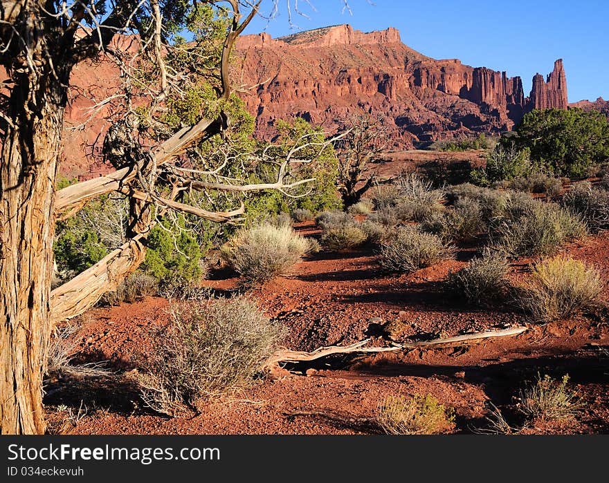 Fisher Towers at Sunset