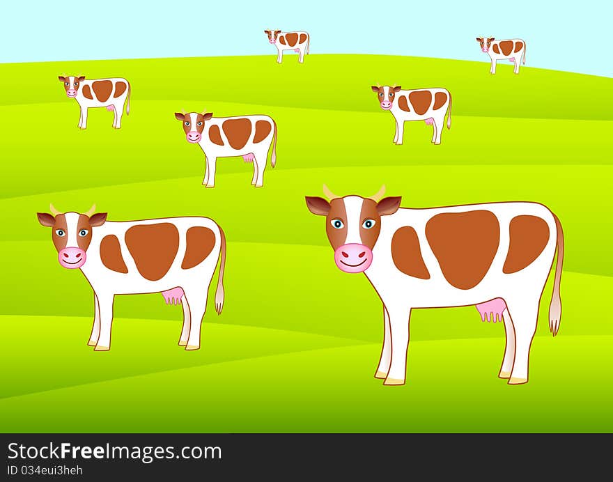 Brown cows on a pasture