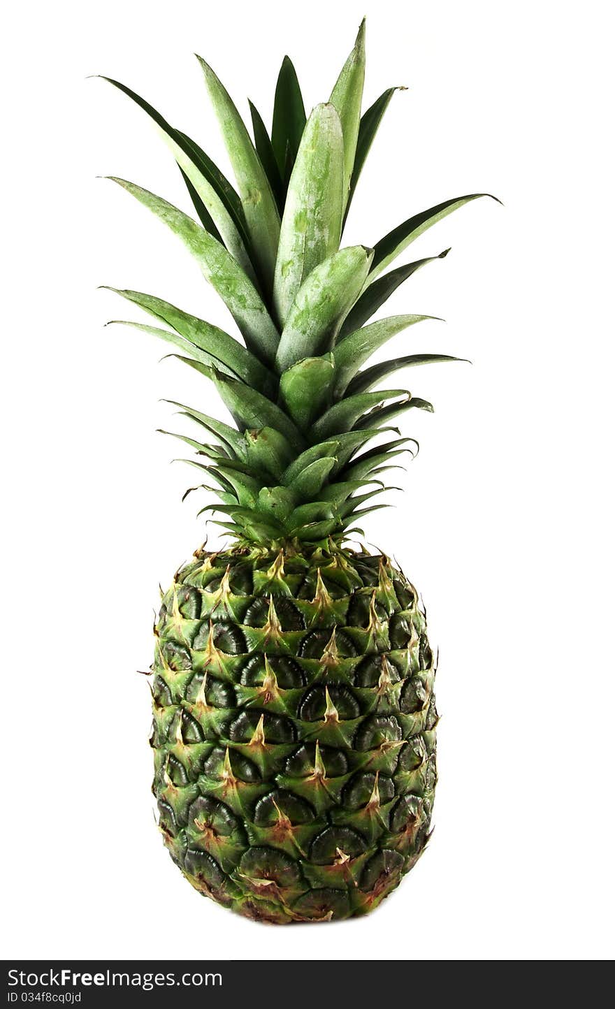 Pineapple