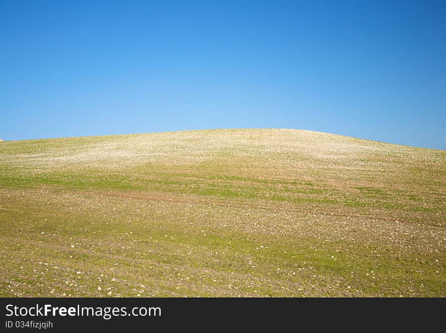 Hill cultivation