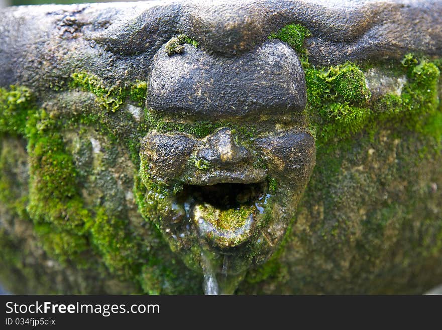 Smiling face of moss statue