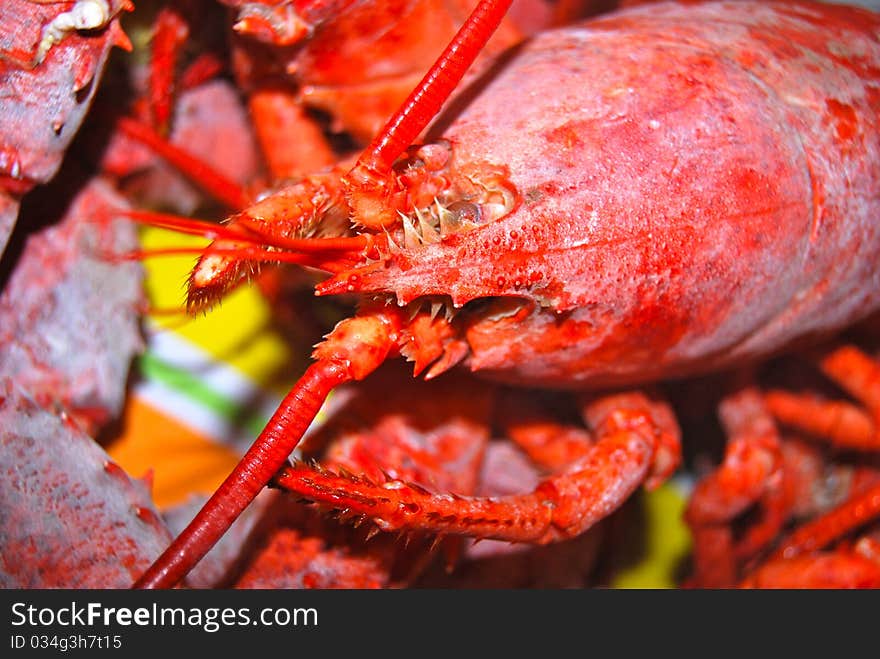 An up-close photo of a cooked bright red lobster. An up-close photo of a cooked bright red lobster.