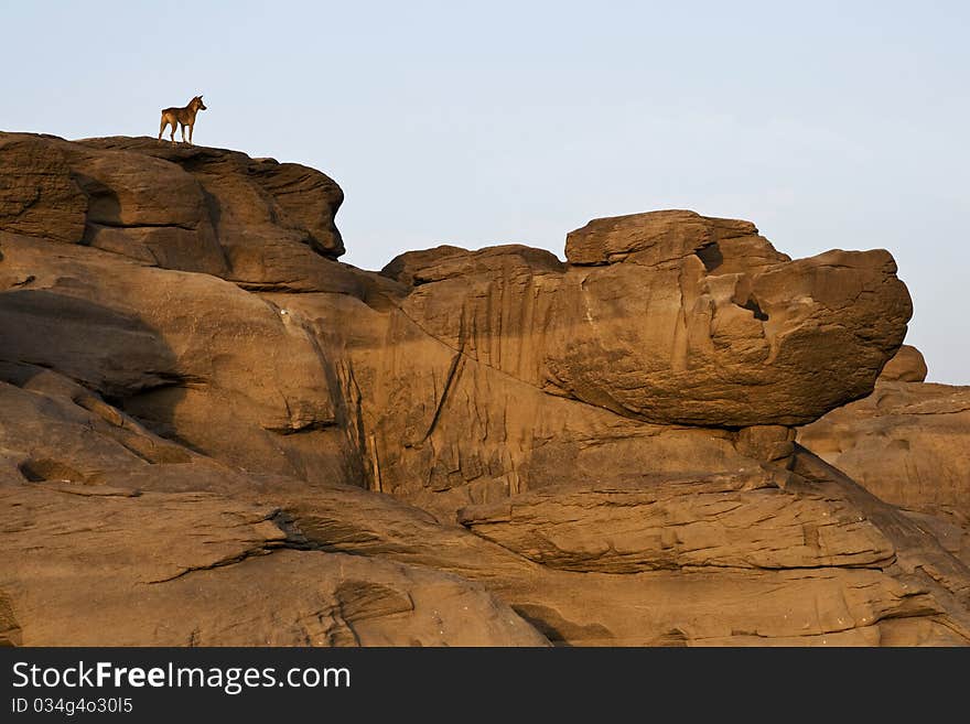 Amazing with big stone field at Thailand like a grand canyon. Amazing with big stone field at Thailand like a grand canyon