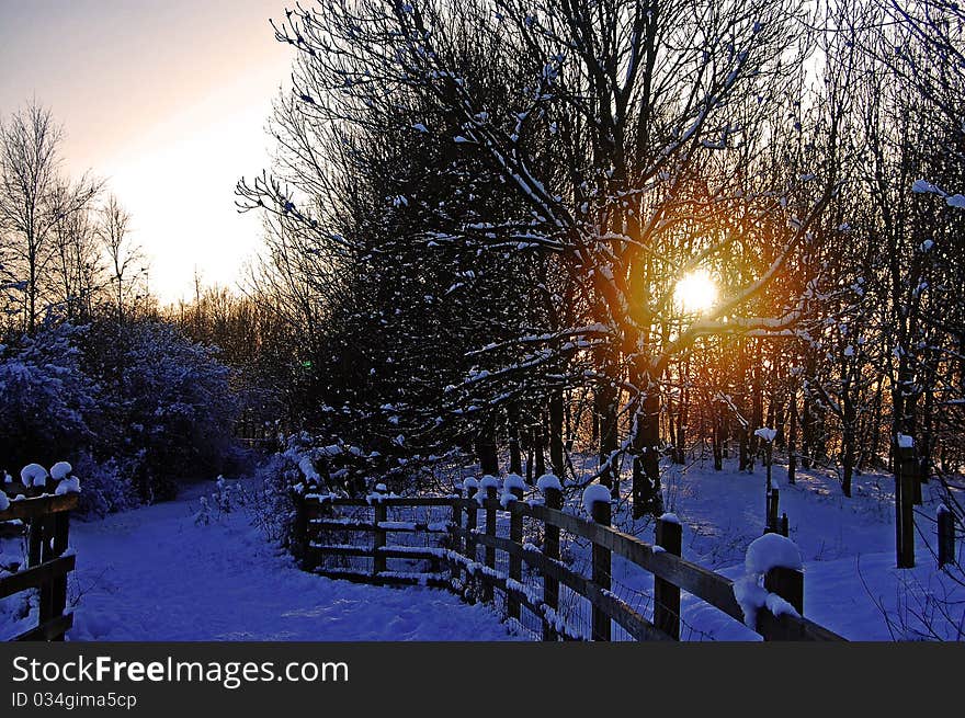 A glimpse of the sun filters through the trees on a clear winters evening. A glimpse of the sun filters through the trees on a clear winters evening