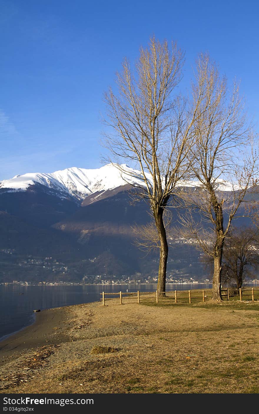 Lake with trees and grass on the banks