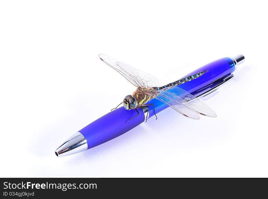 Dragonfly on a blue pen