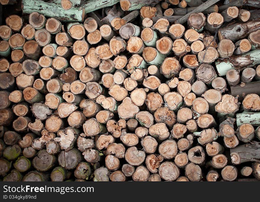 Cut fire wood on pile