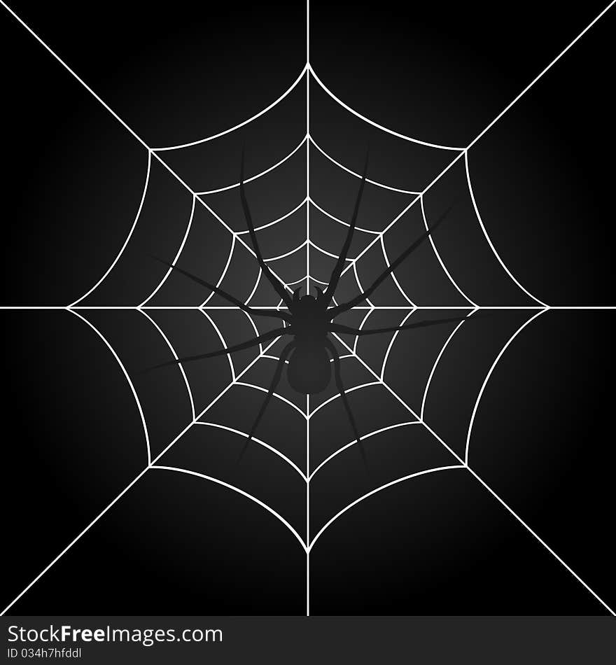 The spider weighs on a web. A illustration