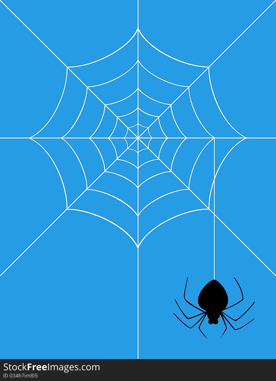 The spider weighs on a web. A illustration. The spider weighs on a web. A illustration