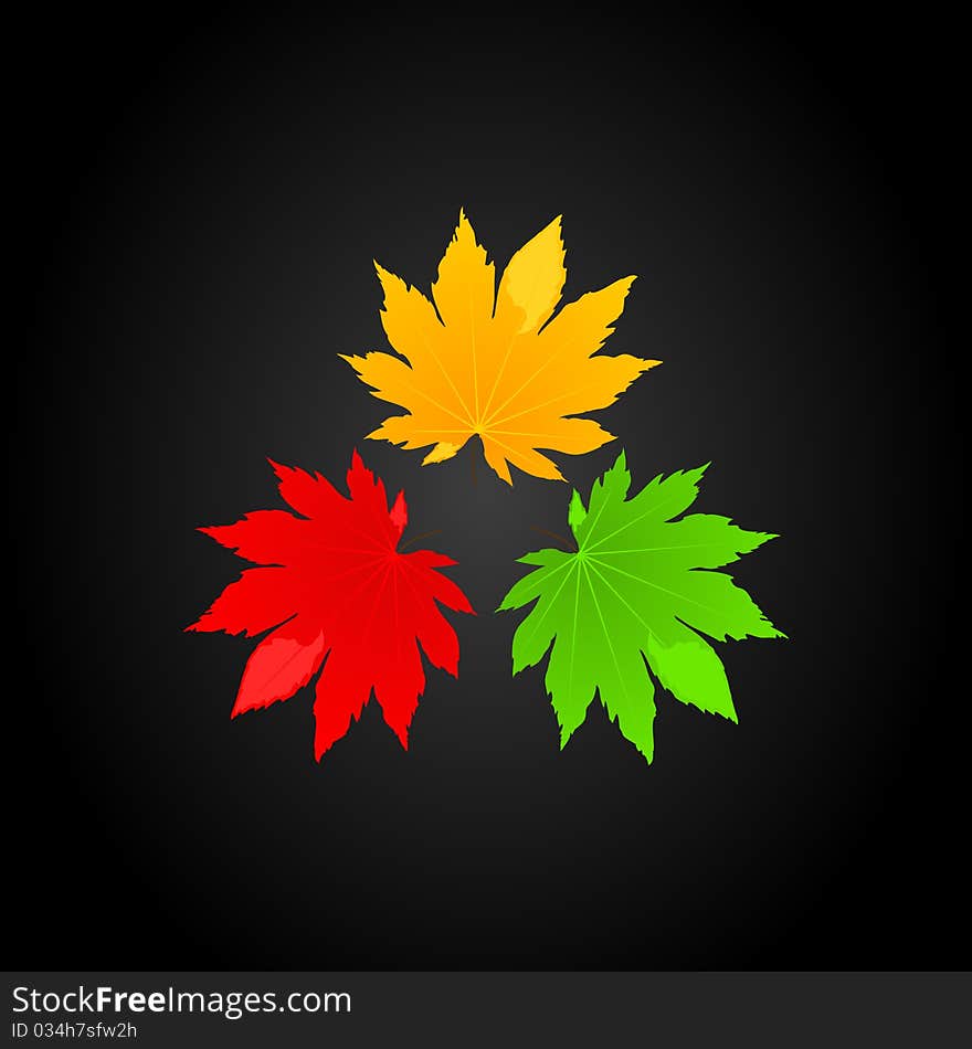 Three leafs